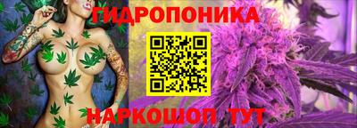 каннабис Дубна