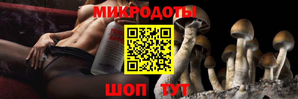 Псилоцибиновые грибы GOLDEN TEACHER Кулебаки